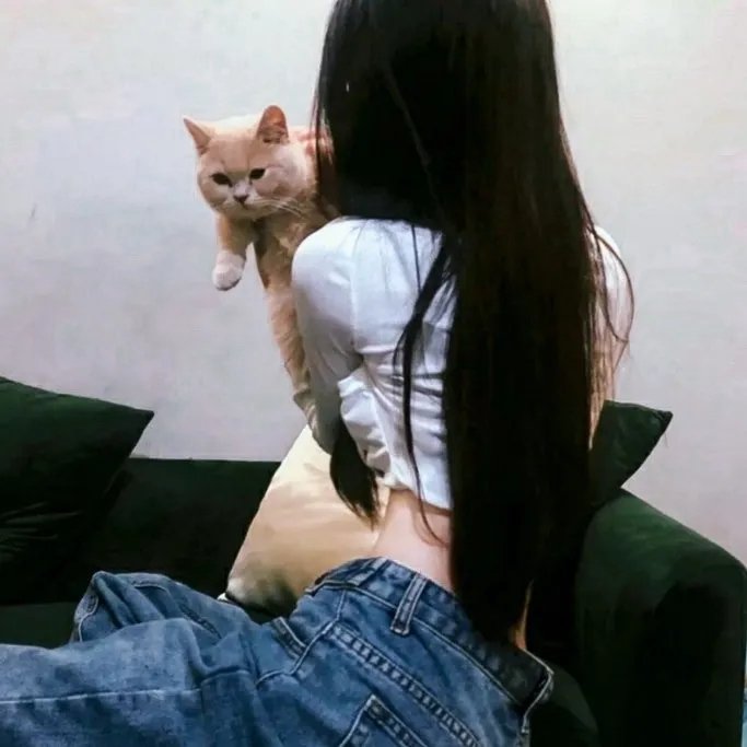 单身男子